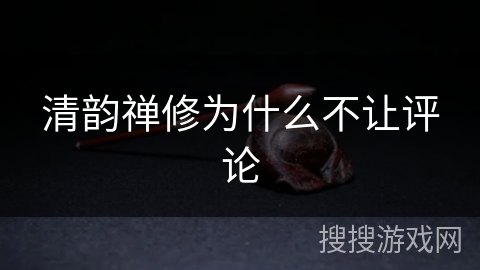 清韵禅修为什么不让评论