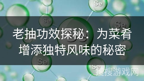 老抽功效探秘：为菜肴增添独特风味的秘密