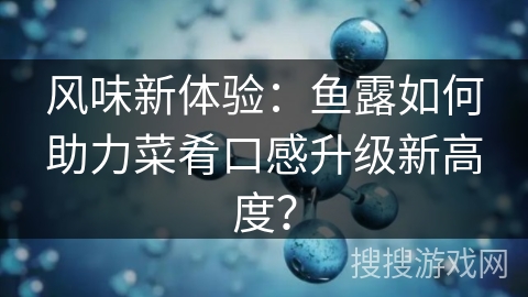 风味新体验：鱼露如何助力菜肴口感升级新高度？