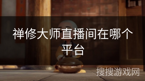 禅修大师直播间在哪个平台