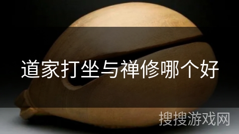 道家打坐与禅修哪个好