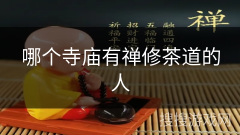 哪个寺庙有禅修茶道的人