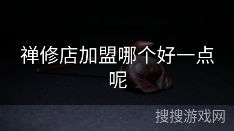 禅修店加盟哪个好一点呢