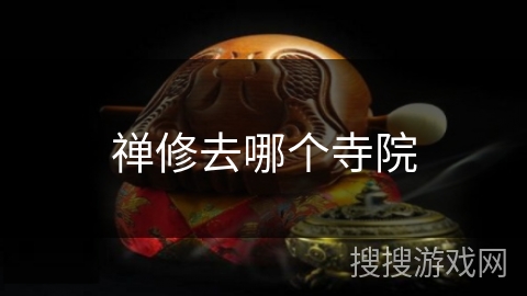 禅修去哪个寺院