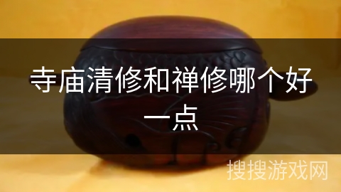 寺庙清修和禅修哪个好一点