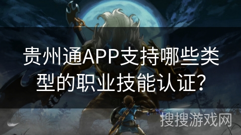 贵州通APP支持哪些类型的职业技能认证？