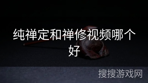 纯禅定和禅修视频哪个好 纯禅定和禅修视频哪个好