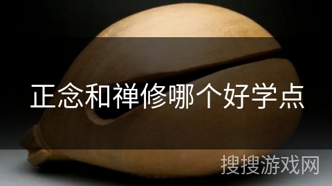 正念和禅修哪个好学点