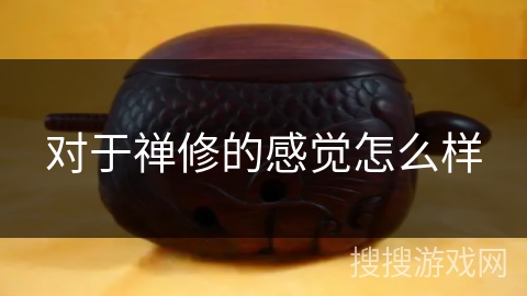 对于禅修的感觉怎么样