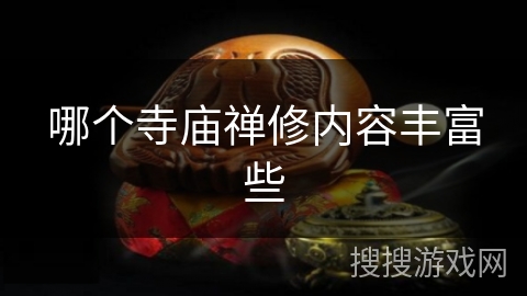 哪个寺庙禅修内容丰富些