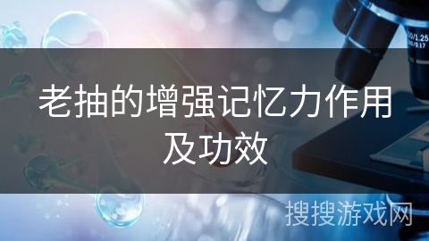 老抽的增强记忆力作用及功效