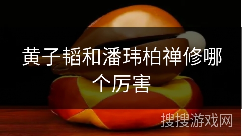 黄子韬和潘玮柏禅修哪个厉害