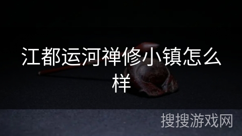 江都运河禅修小镇怎么样