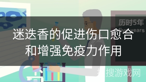 迷迭香的促进伤口愈合和增强免疫力作用