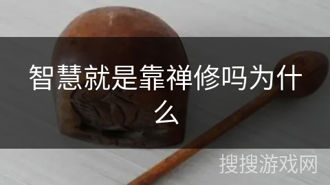 智慧就是靠禅修吗为什么