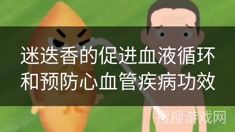 迷迭香的促进血液循环和预防心血管疾病功效