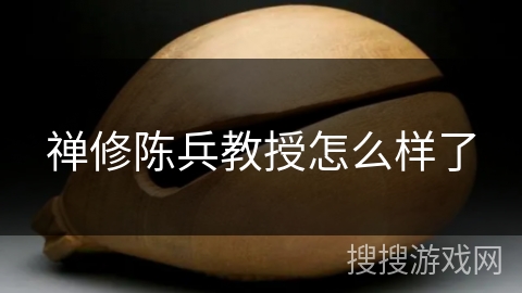 禅修陈兵教授怎么样了