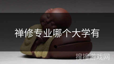 禅修专业哪个大学有