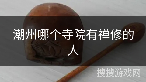 潮州哪个寺院有禅修的人 潮州哪个寺院有禅修的人