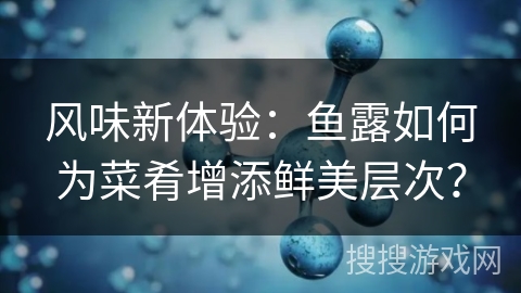 风味新体验：鱼露如何为菜肴增添鲜美层次？