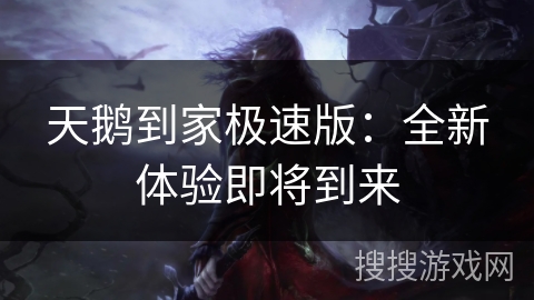 天鹅到家极速版：全新体验即将到来
