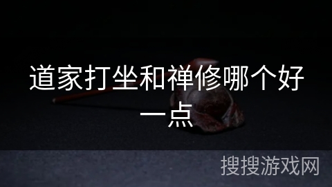 道家打坐和禅修哪个好一点