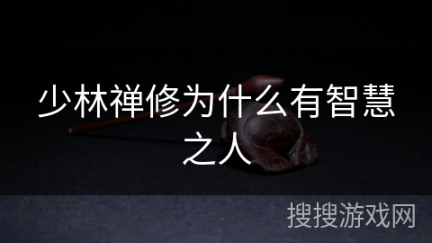 少林禅修为什么有智慧之人