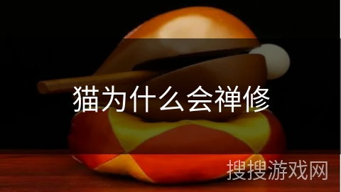 猫为什么会禅修