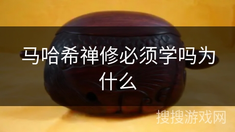 马哈希禅修必须学吗为什么