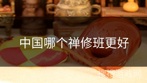 中国哪个禅修班更好