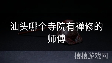 汕头哪个寺院有禅修的师傅