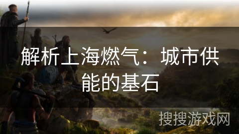 解析上海燃气：城市供能的基石