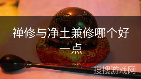 禅修与净土兼修哪个好一点