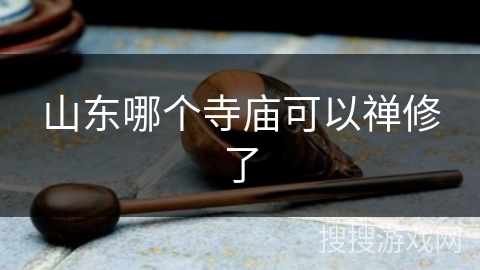 山东哪个寺庙可以禅修了