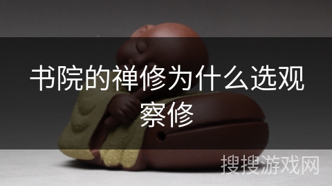 书院的禅修为什么选观察修