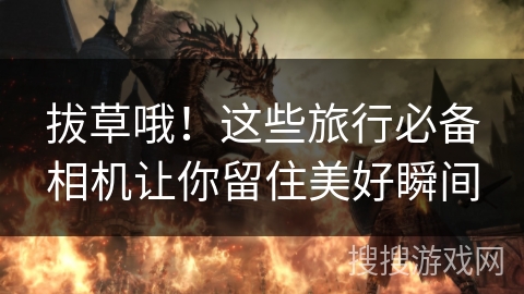 拔草哦！这些旅行必备相机让你留住美好瞬间