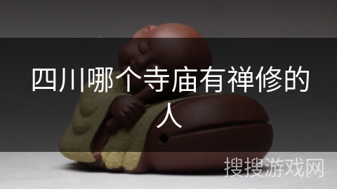 四川哪个寺庙有禅修的人