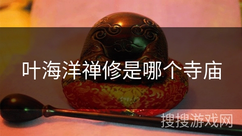 叶海洋禅修是哪个寺庙