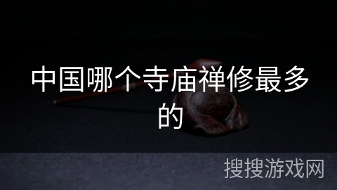 中国哪个寺庙禅修最多的