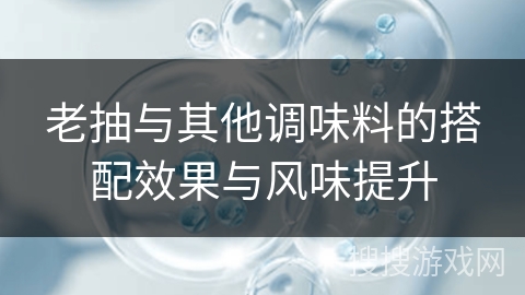 老抽与其他调味料的搭配效果与风味提升