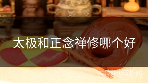 太极和正念禅修哪个好