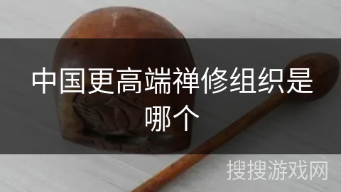 中国更高端禅修组织是哪个