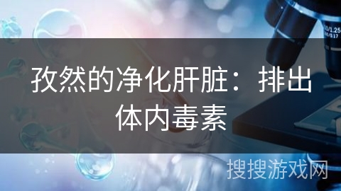 孜然的净化肝脏：排出体内毒素