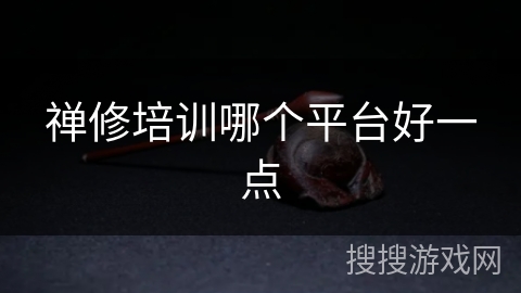 禅修培训哪个平台好一点