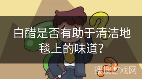 白醋是否有助于清洁地毯上的味道？