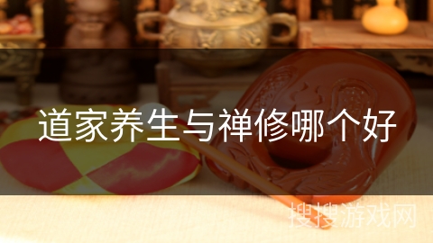 道家养生与禅修哪个好