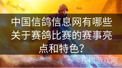 中国信鸽信息网有哪些关于赛鸽比赛的赛事亮点和特色？