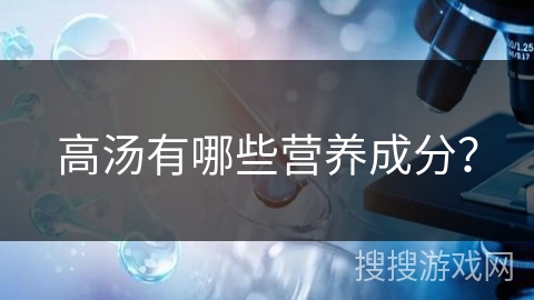 高汤有哪些营养成分？