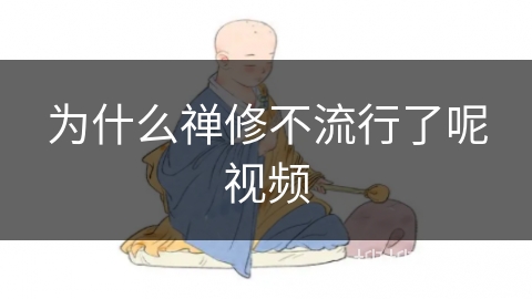 为什么禅修不流行了呢视频