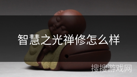 智慧之光禅修怎么样